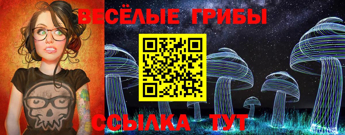 Галлюциногенные грибы Psilocybine cubensis Гусев