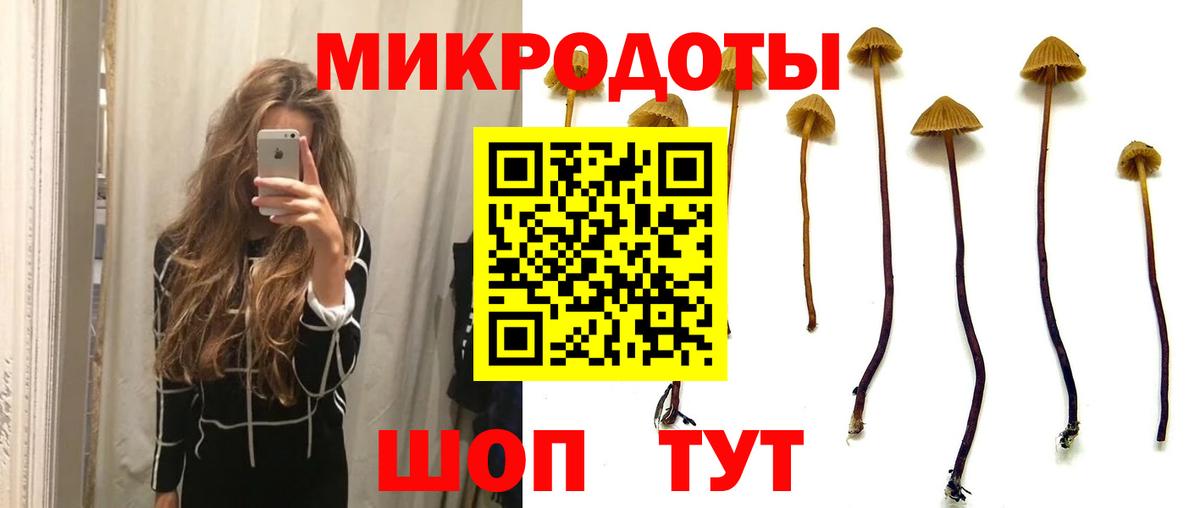 наркота  Псилоцибиновые грибы Magic Shrooms  Псилоцибиновые грибы прущие грибы  Вход с VPN  Гусев 